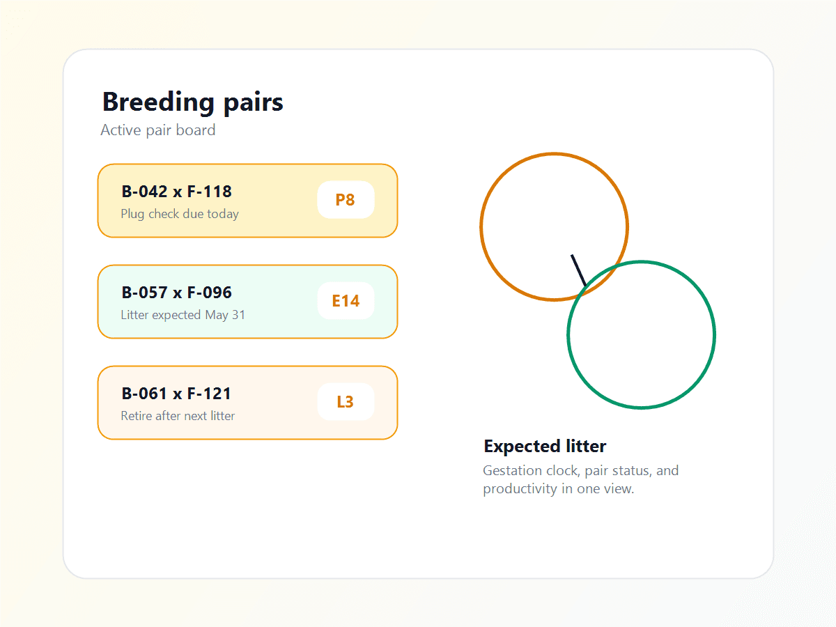 ConductColony breeding pair board showing active pairs, pair status, and expected litter timing.