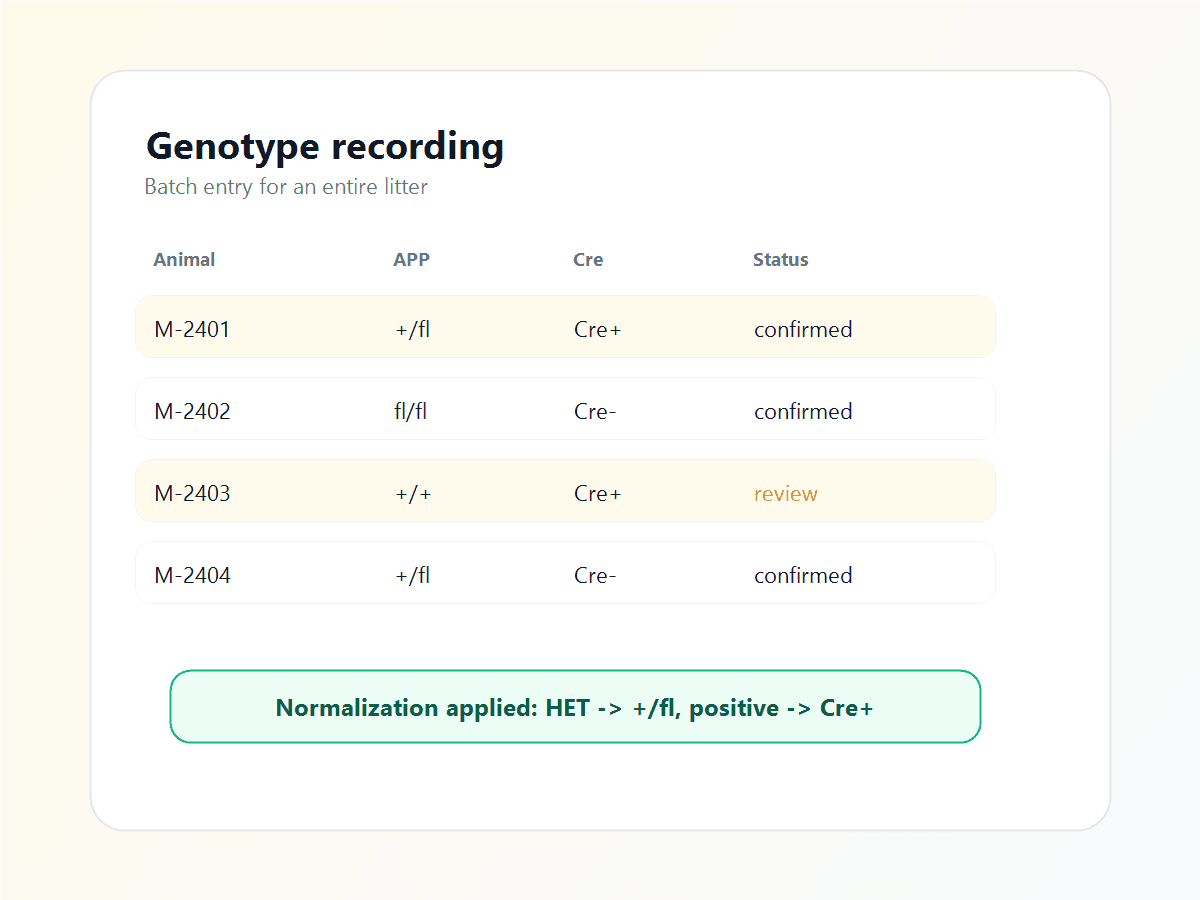 ConductColony genotype recording table with batch entry and normalized genotype notation.
