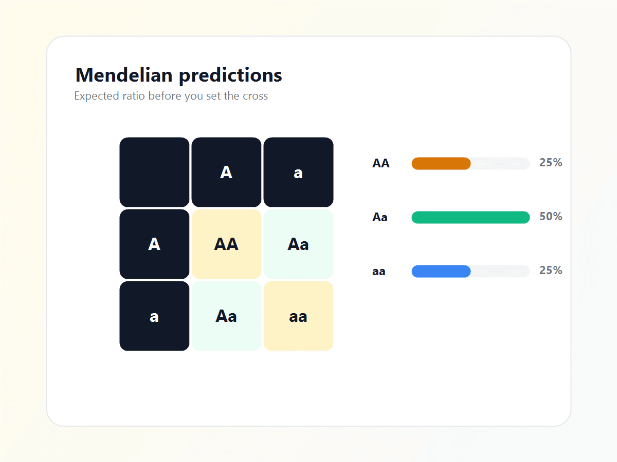 ConductColony Mendelian prediction screen with Punnett square and expected genotype ratios.