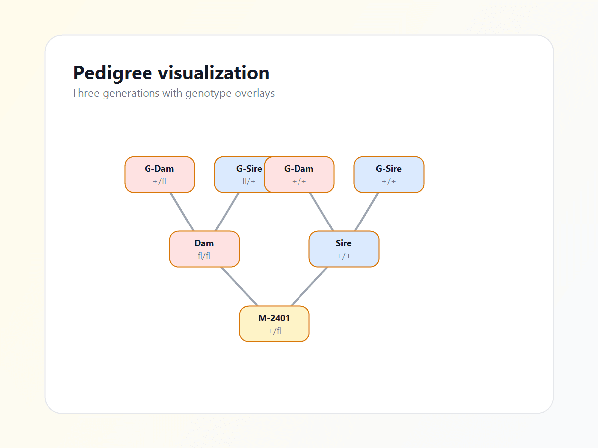 ConductColony three-generation pedigree visualization with genotype annotations.