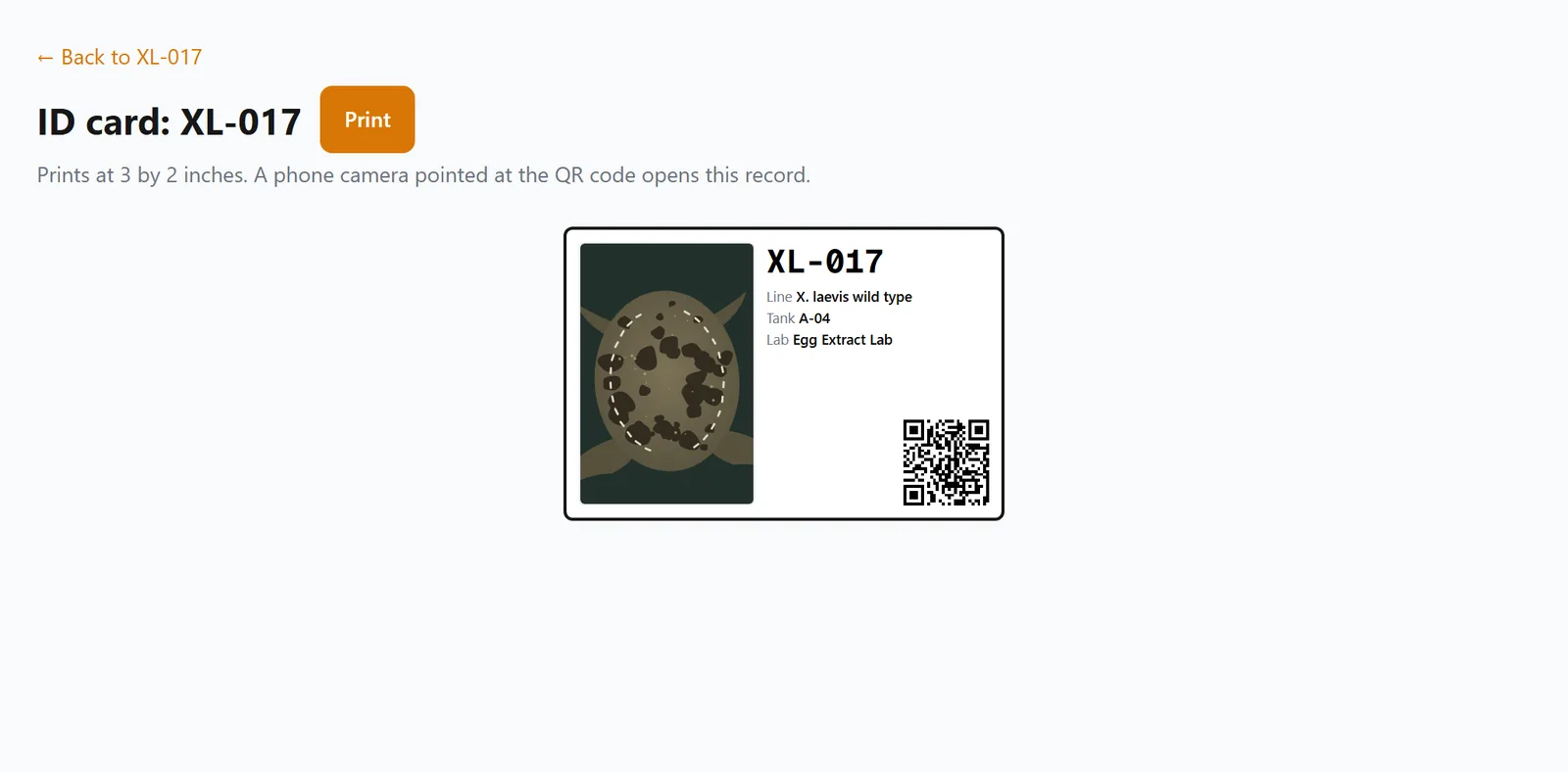 The ID card for frog XL-017 with its skin-pattern picture, line, tank, lab and a QR code.