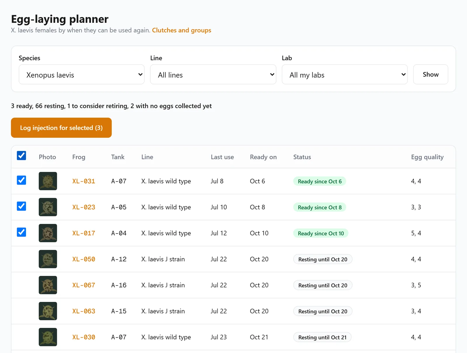 The egg-laying planner: 3 ready, 66 resting and 1 to consider retiring, with the three ready females selected for one injection and each frog's ready date and recent egg quality.
